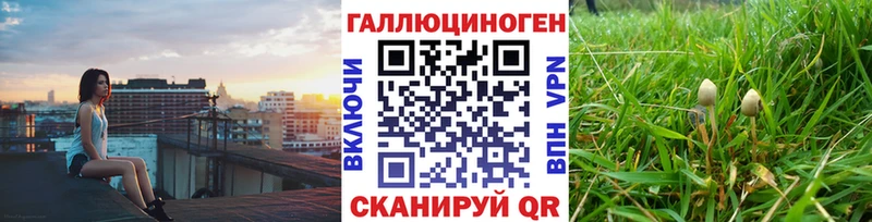 Псилоцибиновые грибы Cubensis  Навашино 