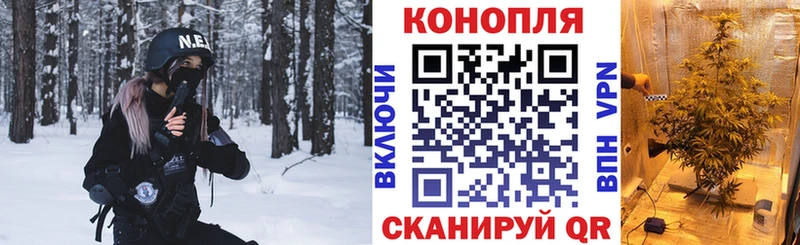 Каннабис MAZAR  где можно купить   Навашино 